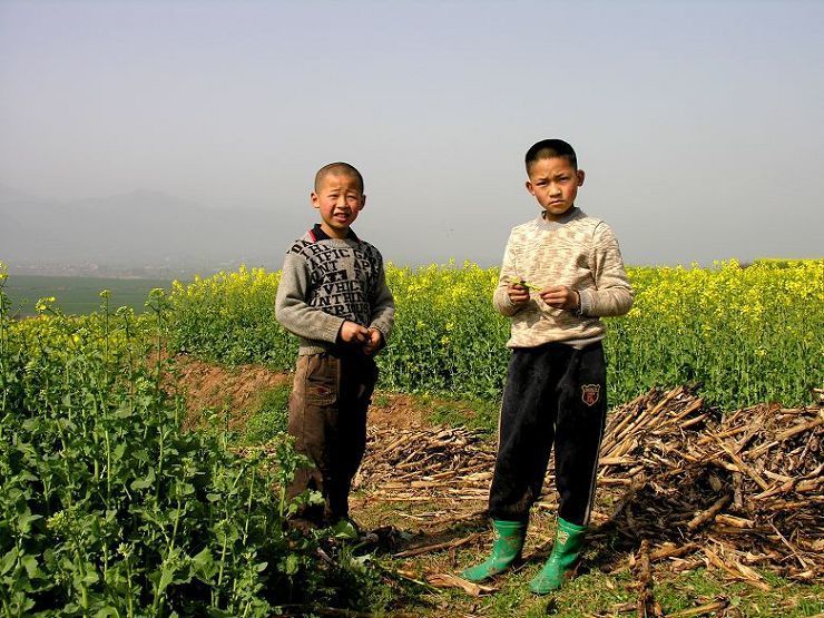 油菜花地里的快乐少年