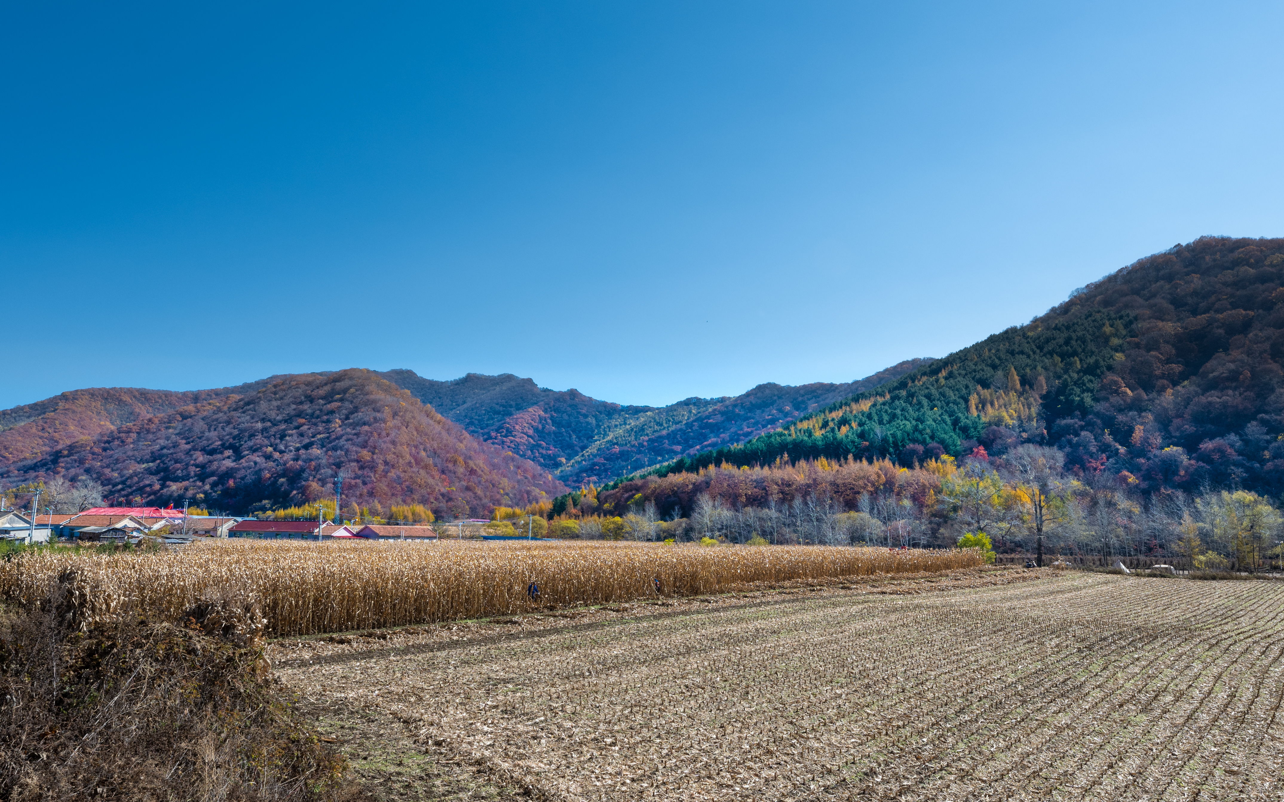 旅游杂拍（风光）