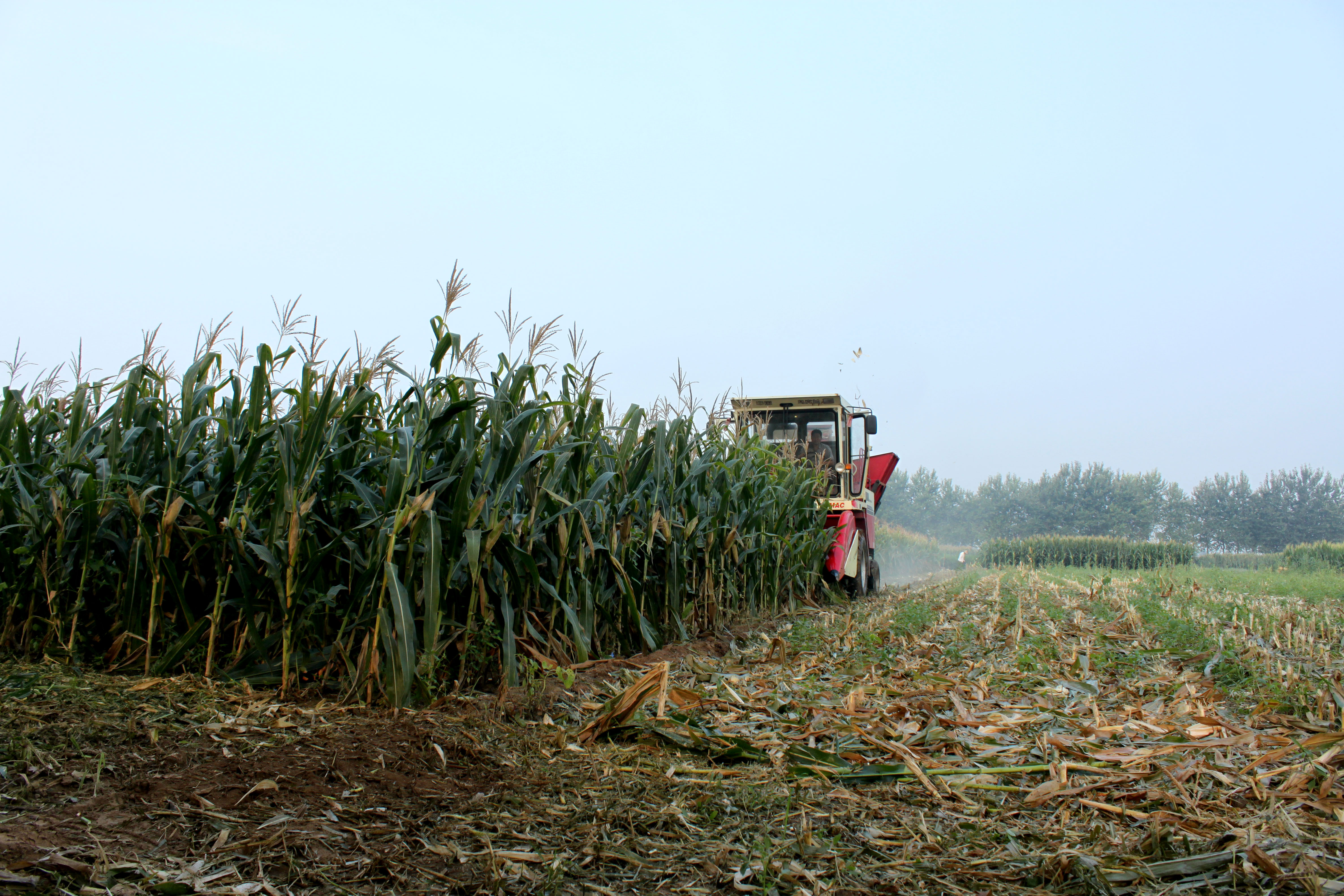 �ط���������ӿ